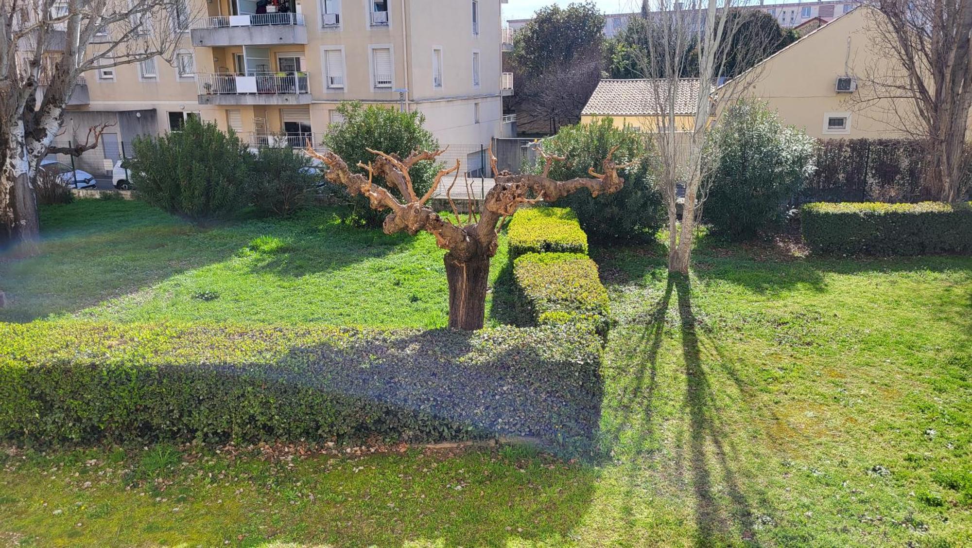 Les Tourterelles D'Avignon 2 Apartment Exterior photo